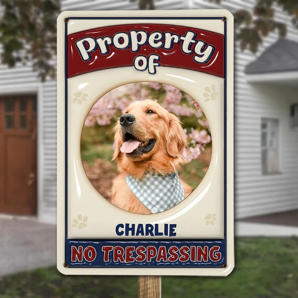 1_518916cd d886 4dd6 85a3 c81ff3972ef8