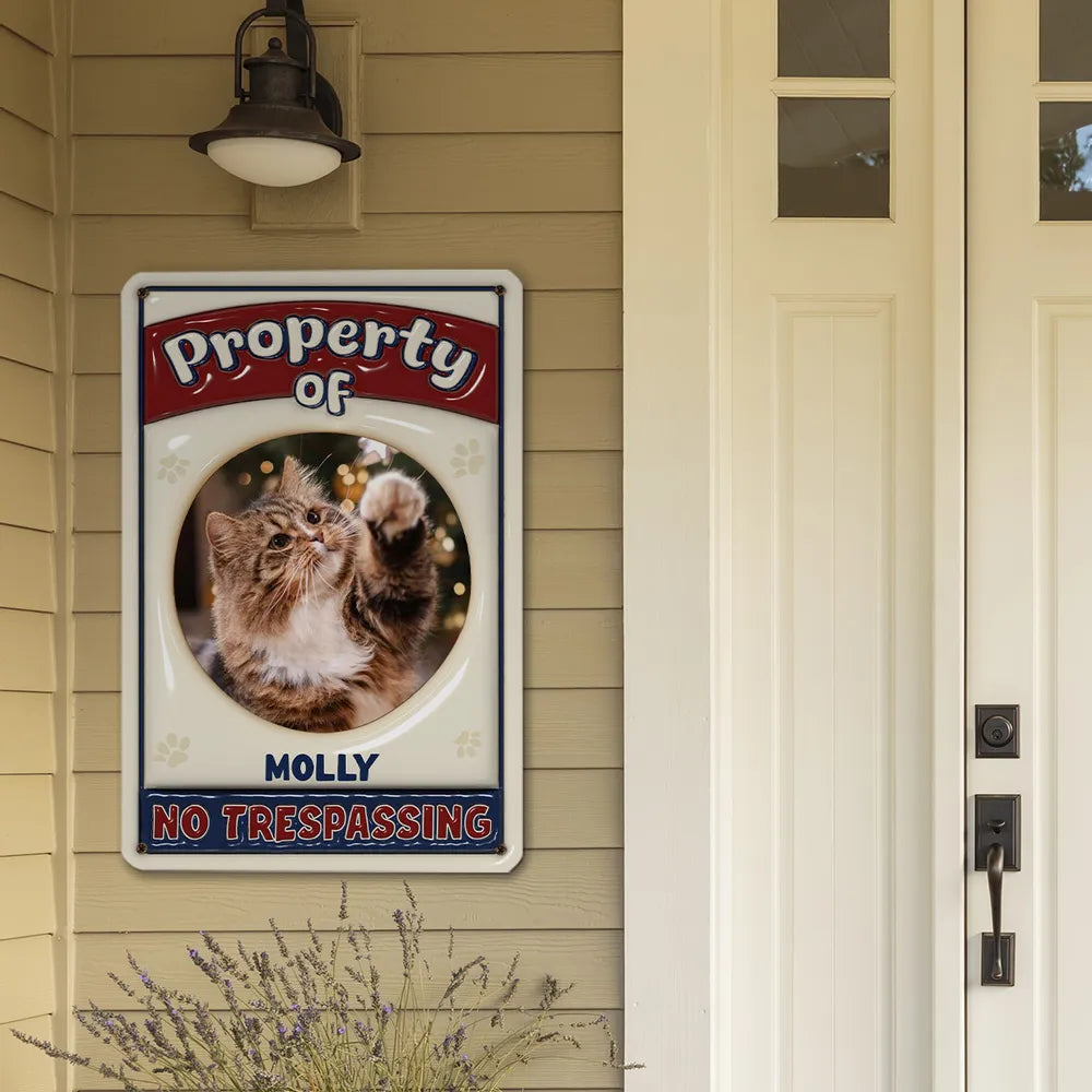 2_7052f0c2 cc19 4da5 b25b a4fa1bda7151