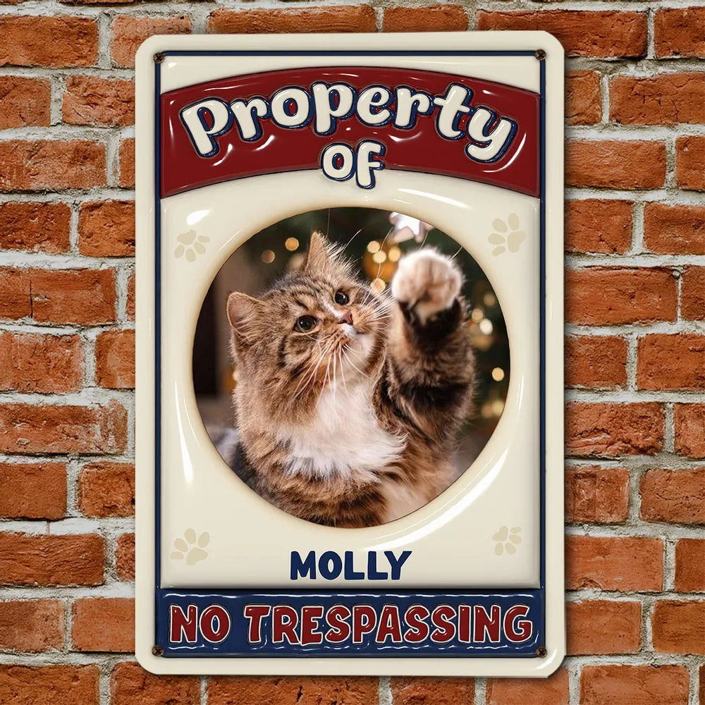 3_f7fb6695 4614 42da aa86 16b7b29fe3ae