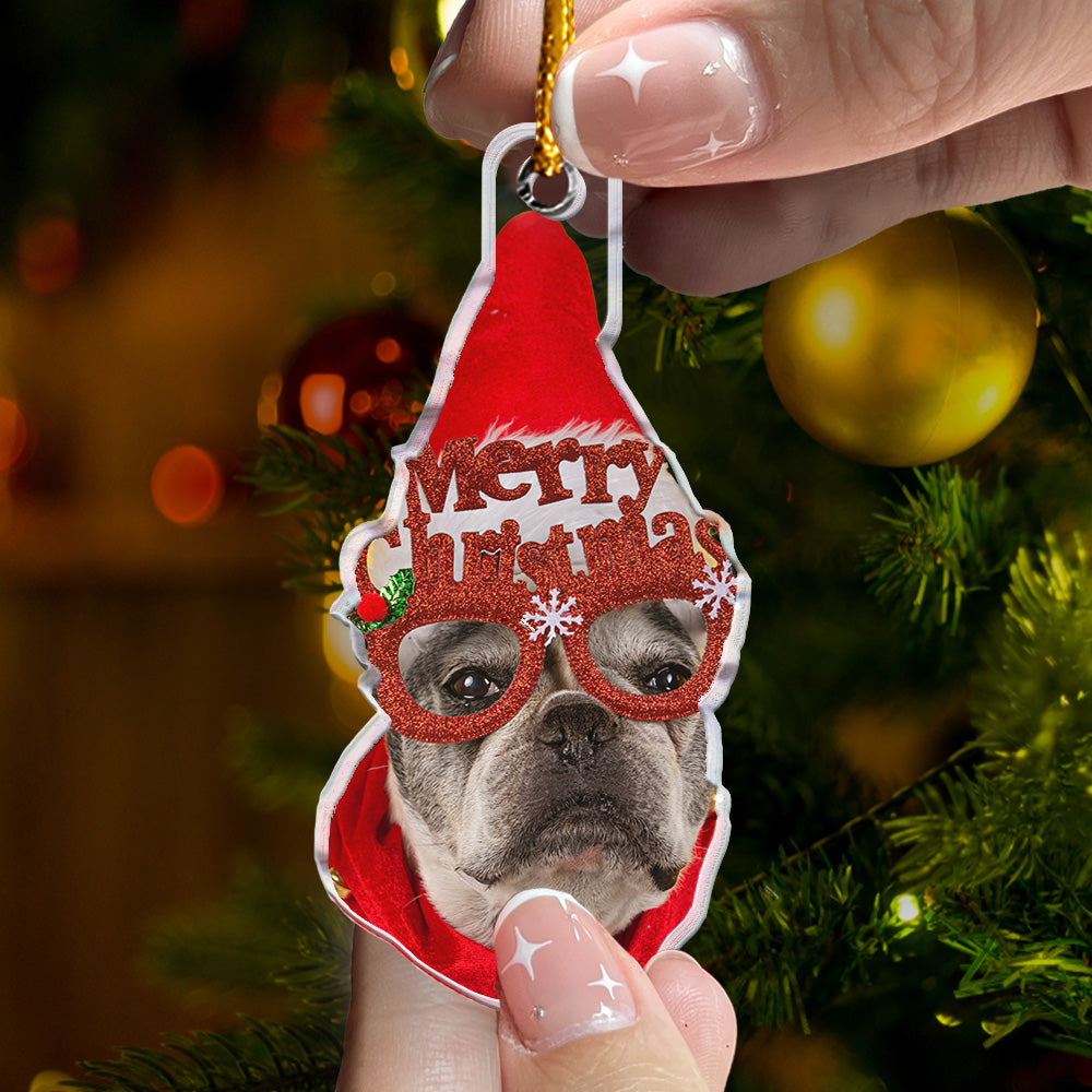 Custom_Photo_Funny_Face_Christmas_ _Personalized_Acrylic_Photo_Ornament_1