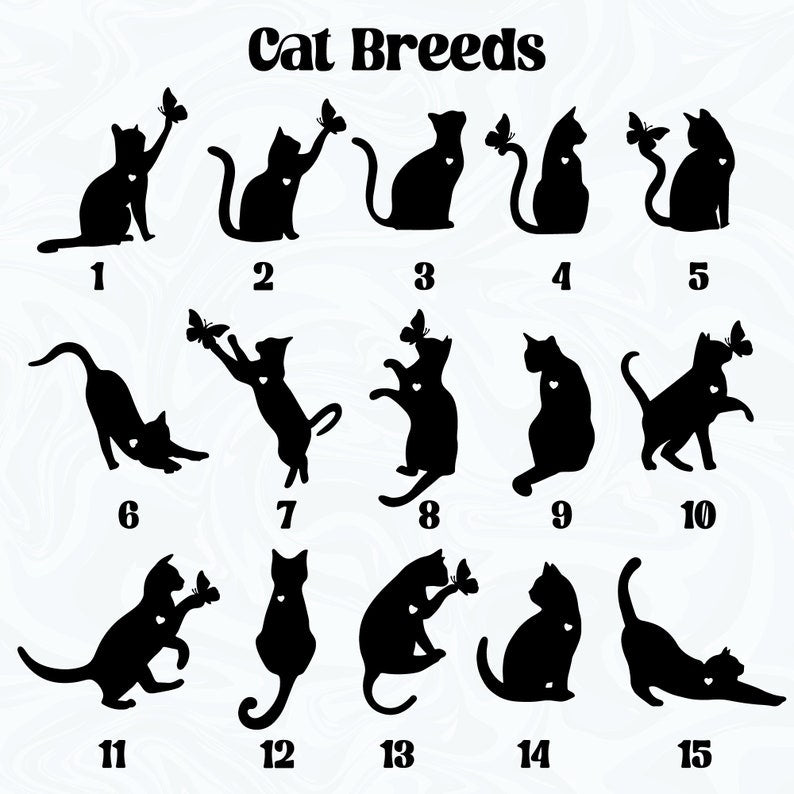 abc_511504d6 da6c 421b 83bc 24051f2cc2aa