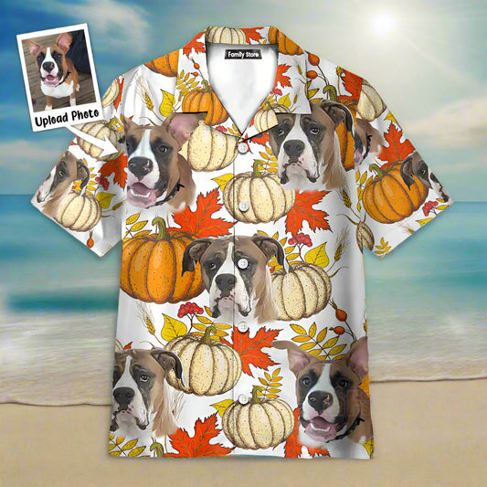 mk f hawaiian 3_746d1561 e738 428e baaa ea7c83025965