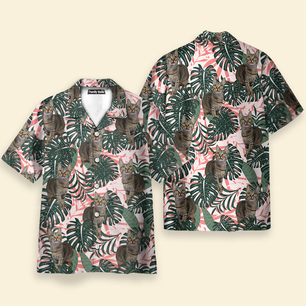 mk hawaiian 4_ae9a196a 2e06 434c 80cc 936dc3db5372
