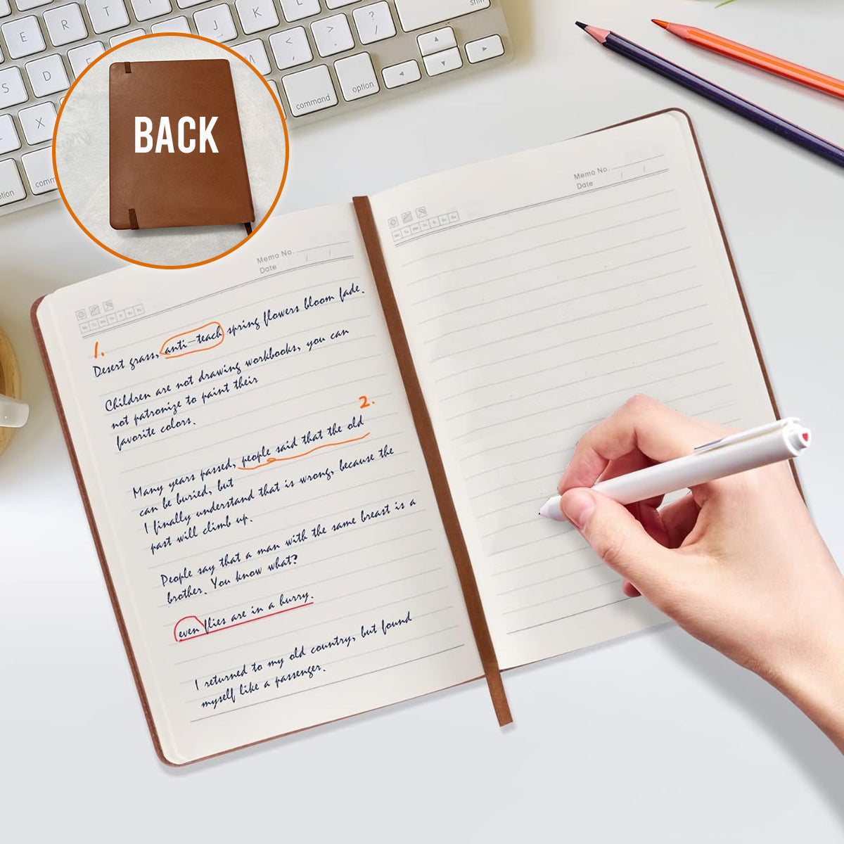 mk5_30f69095 6a1a 4f92 8d87 a0f3a370cc0b