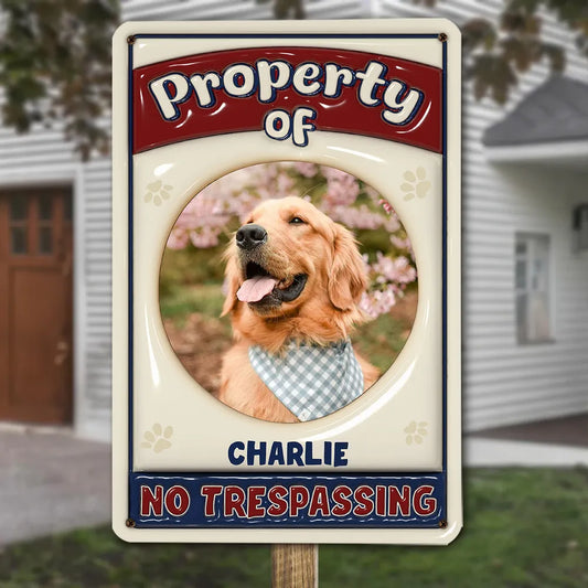 1_518916cd d886 4dd6 85a3 c81ff3972ef8