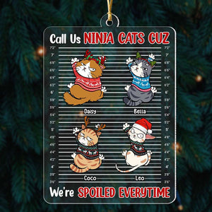 Call Us Ninja Cats - Personalized Acrylic Ornament - Gift For Cat Lover, Cat Mom, Cat Dad - CLP12 NA94