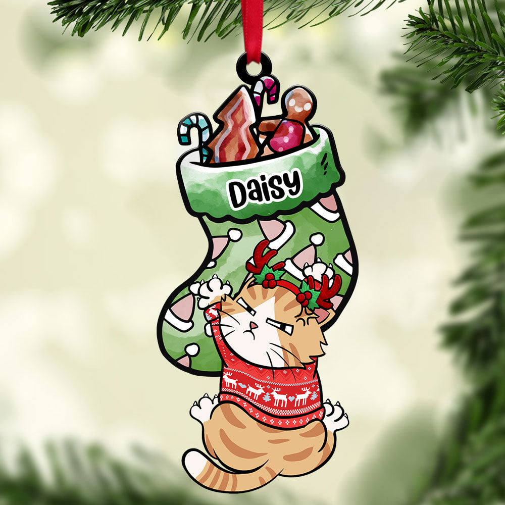 Cat Holding Socks - Personalized Acrylic Ornament - Gift For Cat Lover, Cat Mom, Cat Dad - CLP12 NA94