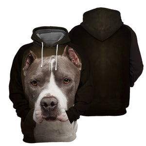 Pitbull 3D All Over Printed Hoodie For Men, Women