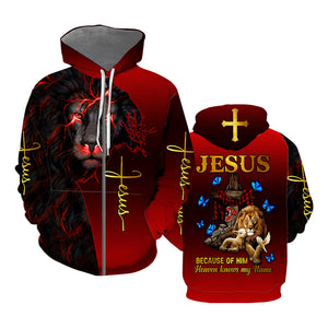 Jesus Because Of Him Heaven Knows My Name Hoodie For Men & Women