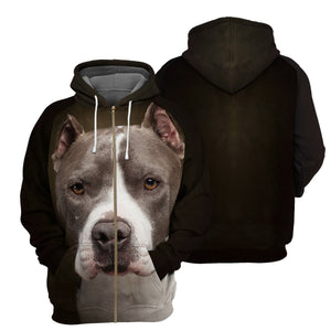 Pitbull 3D All Over Printed Hoodie For Men, Women