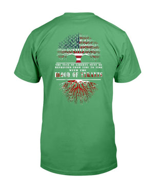 Blood of Tyrants Tee Veterans Gifts 2nd Amendment T-Shirt