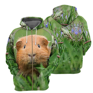 Guinea 3D All Over Printed Hoodie For Men, Women