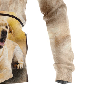 Great Labrador Retriever Hoodie For Men And Women