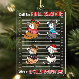 Call Us Ninja Cats - Personalized Acrylic Ornament - Gift For Cat Lover, Cat Mom, Cat Dad - CLP12 NA94