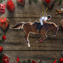 CustomPhotoHorseRidingEquestrianLovers PersonalizedAcrylicPhotoOrnament TK815 CLA1472 MkWebs5_20b26015 b8d0 43d8 984c 69b60ba4029e