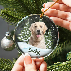 Custom Photo Pet Face - Personalized Circle Glass Ornament - Christmas Gift For Dog Lovers, Cat Lovers, Pet Lovers, Pet Memorial - NH96