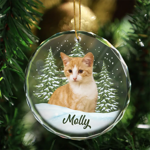 Custom Photo Pet Face - Personalized Circle Glass Ornament - Christmas Gift For Dog Lovers, Cat Lovers, Pet Lovers, Pet Memorial - NH96