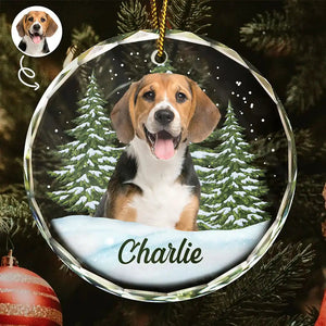 Custom Photo Pet Face - Personalized Circle Glass Ornament - Christmas Gift For Dog Lovers, Cat Lovers, Pet Lovers, Pet Memorial - NH96