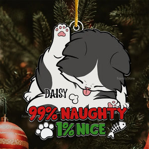 99% Naughty 1% Nice - Gift For Cat Lover, Pet Lovers - Personalized Acrylic Ornament - CLP10