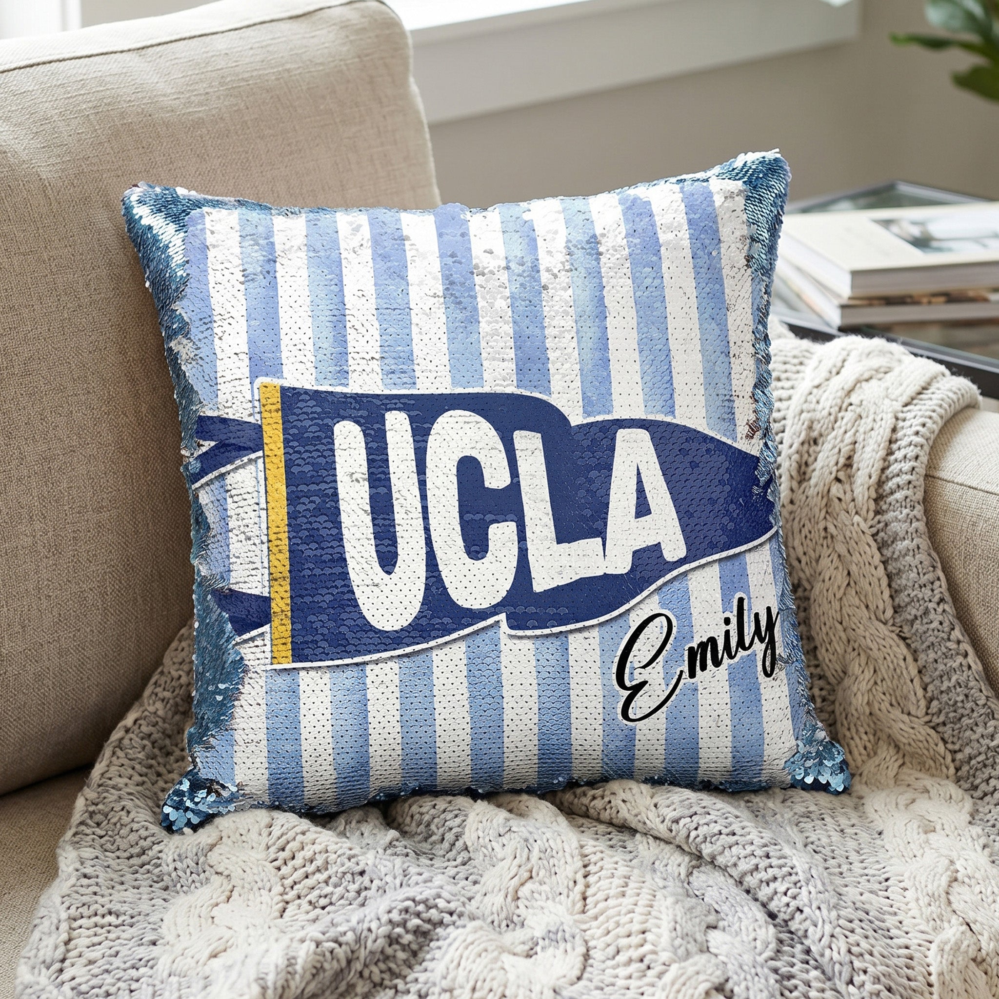 School_Pennant_Flag_Custom_Pillow_2