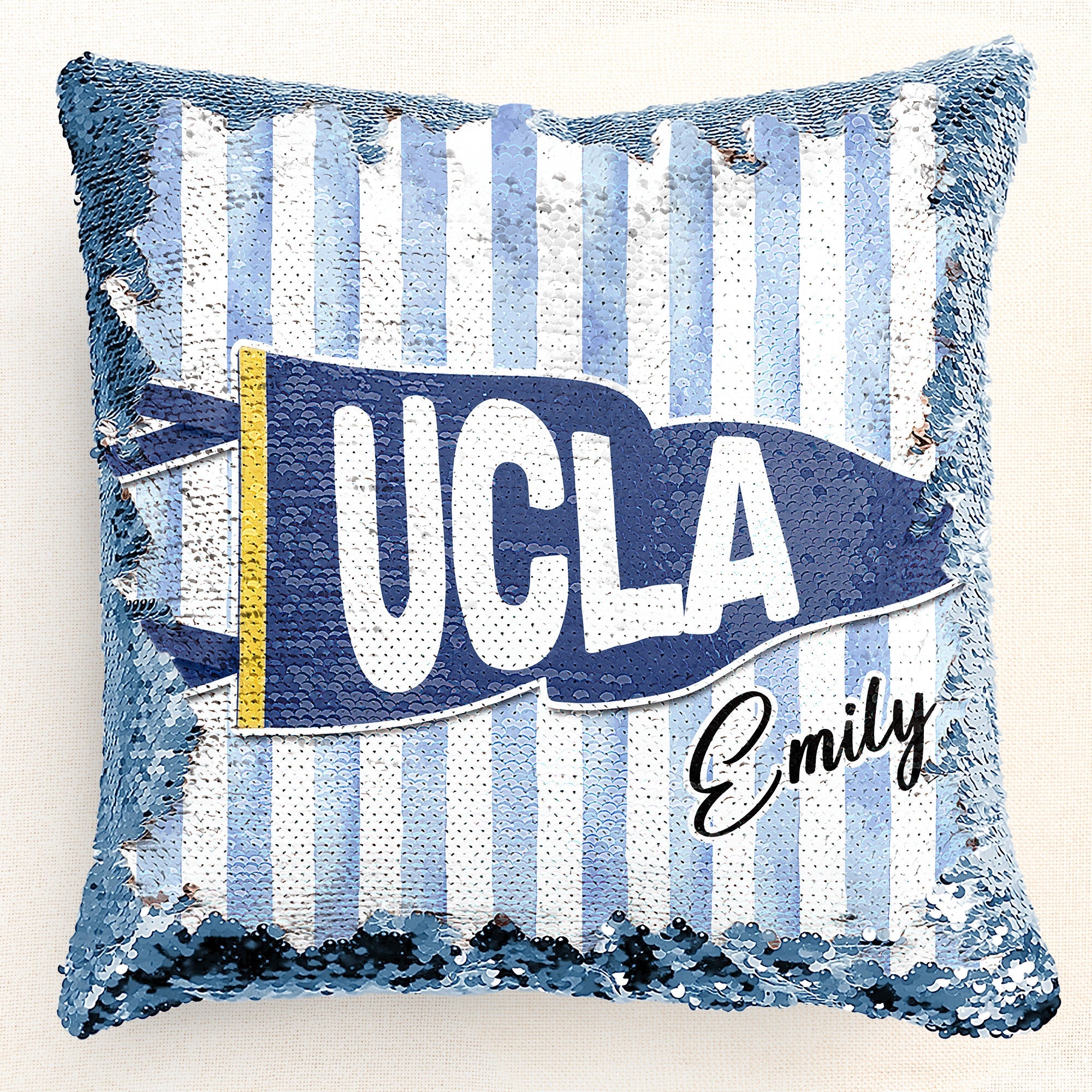 School_Pennant_Flag_Custom_Pillow_3