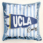 School_Pennant_Flag_Custom_Pillow_3
