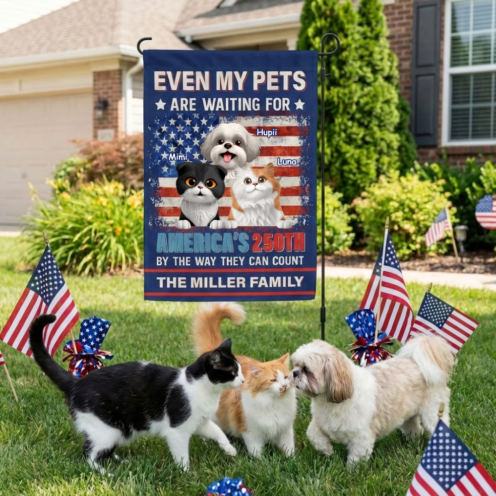 mk2_34c03472 f038 48ef 919f 35eed180579c