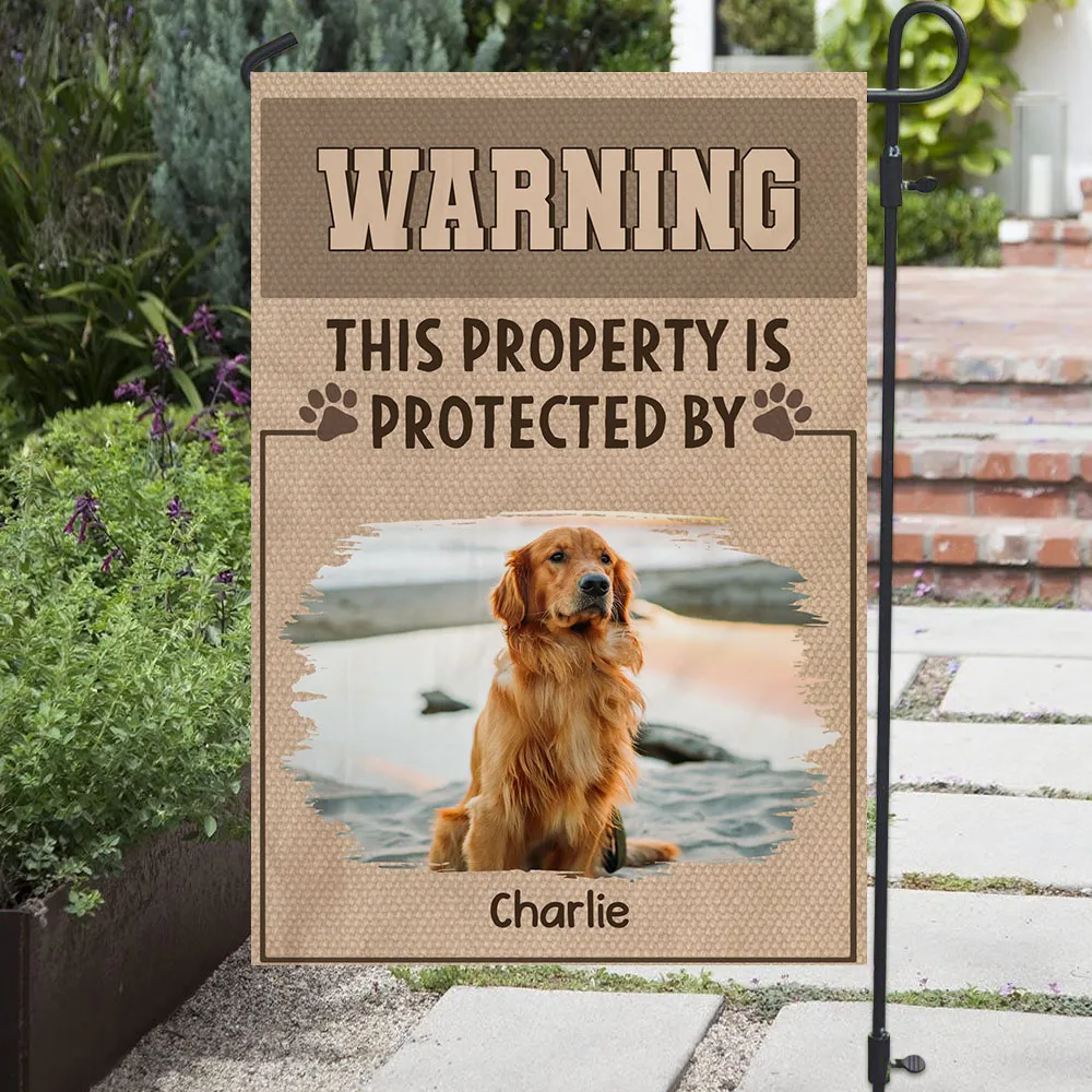 mk2_9be5dd31 02cf 4d73 9254 026a857dc34d