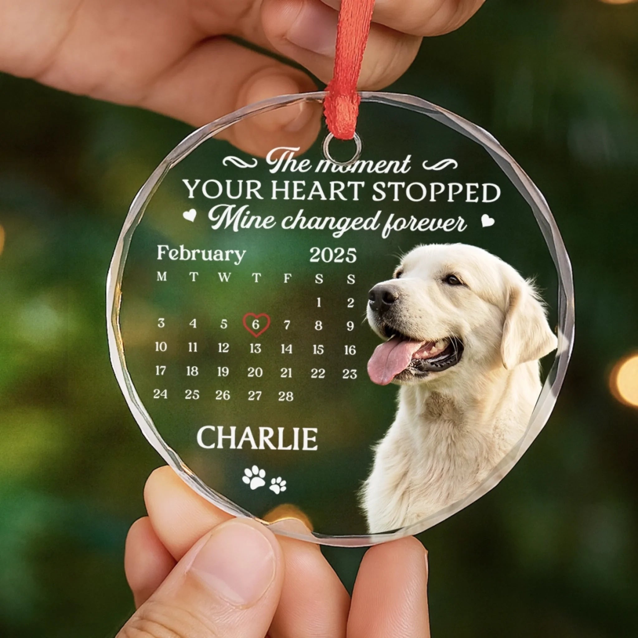 mk5_d4f71656 02ab 4b19 845b 0c8f0530c6b0