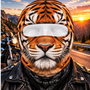 motorcycle_mask_6