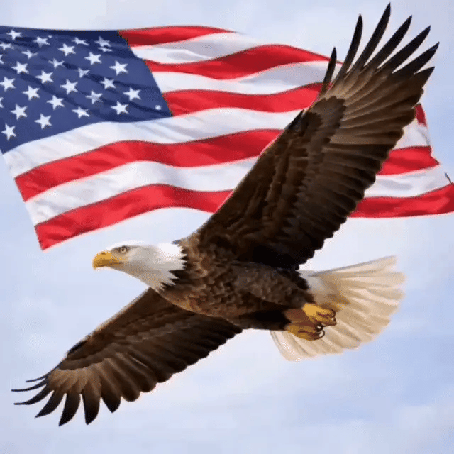 pf_categories us250 3