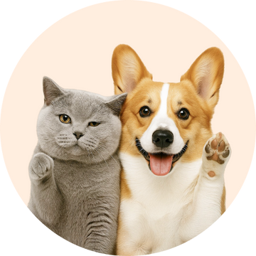 pfh_home25_sbr new pet